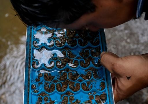 El pueblo del norte de Espa&ntilde;a donde a&uacute;n se busca oro en el r&iacute;o como hace 2000 a&ntilde;os