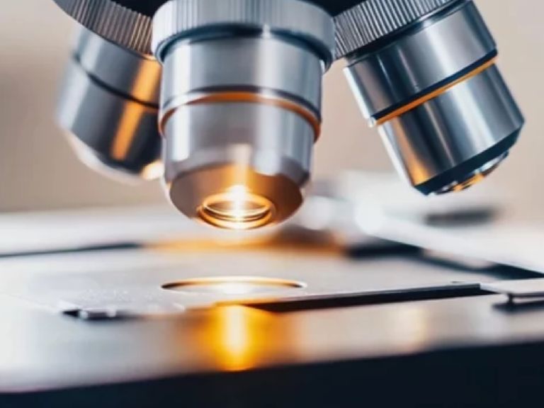 Cient&iacute;ficos de Stanford descubren una criatura sin cerebro que se pliega como origami