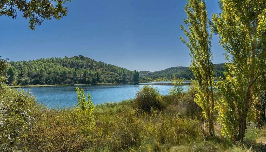 La surexploitation des aquifères ou l’utilisation d’agrochimiques pourraient également être à l’origine de la disparition de ces lagunes.