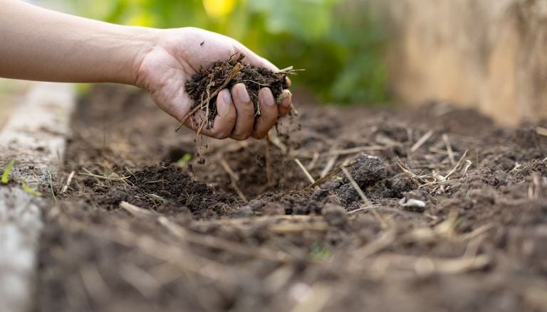 Unos cient&iacute;ficos del CSIC descubren c&oacute;mo los suelos ricos en biodiversidad bloquean bacterias da&ntilde;inas