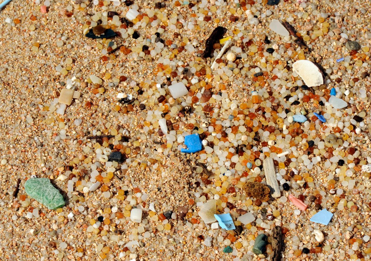 Les microplastiques constituent un grave problème environnemental, mais aussi un risque potentiel pour la santé humaine.