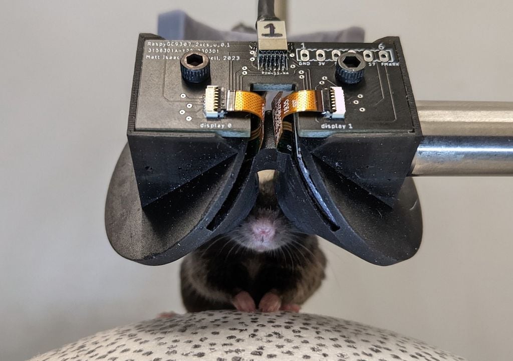 Mouse Goggles