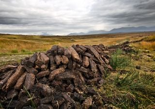 Cient&iacute;ficos descubren cu&aacute;nta agua es necesaria para volver a transformar tierras agr&iacute;colas &aacute;rticas en sumideros