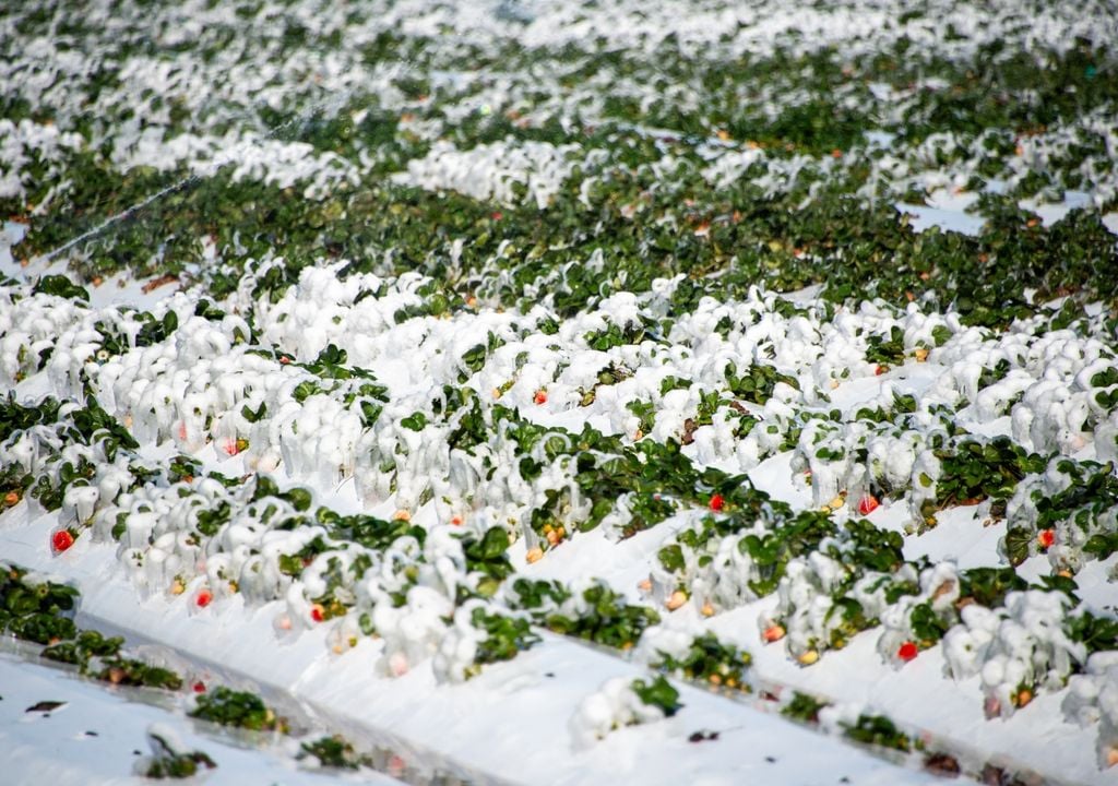artico Las condiciones del Ártico hacen que el suelo pueda volver a recuperar su estatus de sumidero