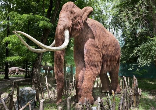 Unos paleontólogos descubren en Granada los restos más completos de mamuts y mastodontes del Plioceno europeo