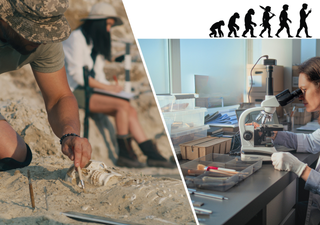 Cient&iacute;ficos encuentran el esqueleto m&aacute;s antiguo y completo de Homo habilis en el coraz&oacute;n de Kenia