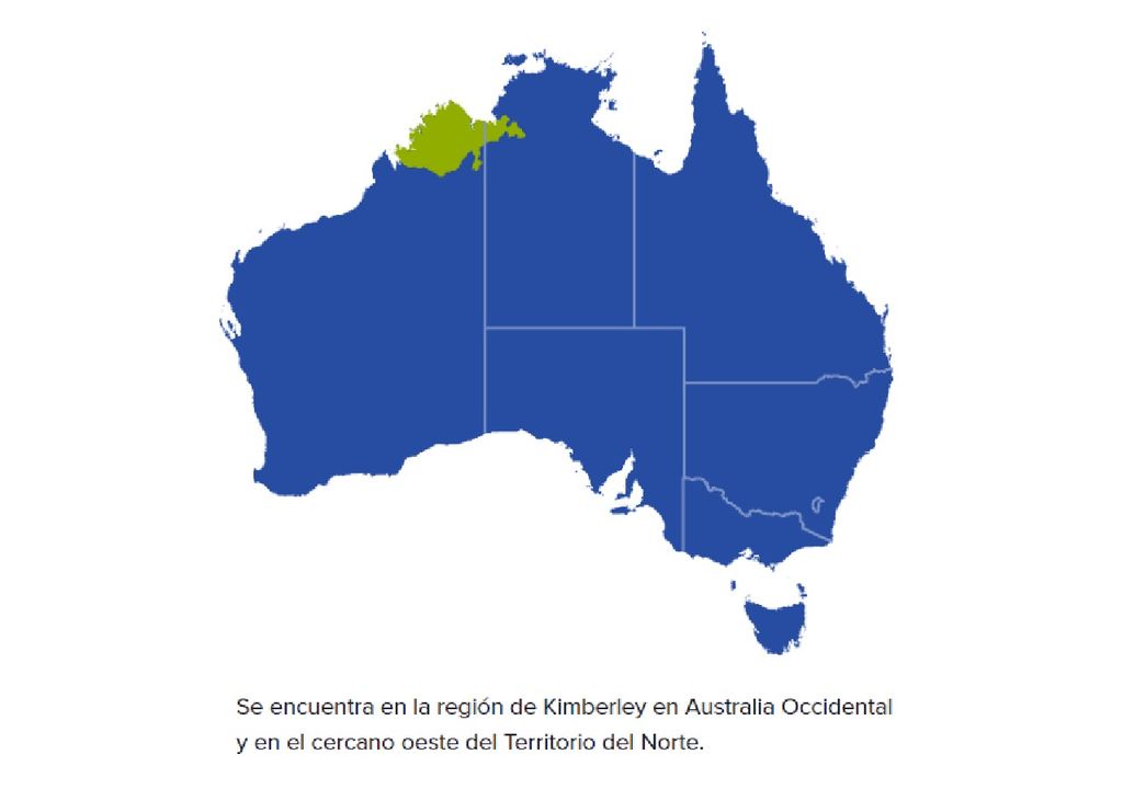 mapa da Austrália com a localização da espécie Litoria Splendida