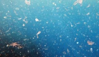 Cient&iacute;ficos del CSIC y la ULPGC descubren una gran trampa de micropl&aacute;sticos bajo el oc&eacute;ano frente a Canarias