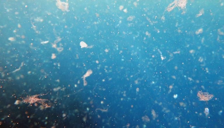 Cient&iacute;ficos del CSIC y la ULPGC descubren una gran trampa de micropl&aacute;sticos bajo el oc&eacute;ano frente a Canarias
