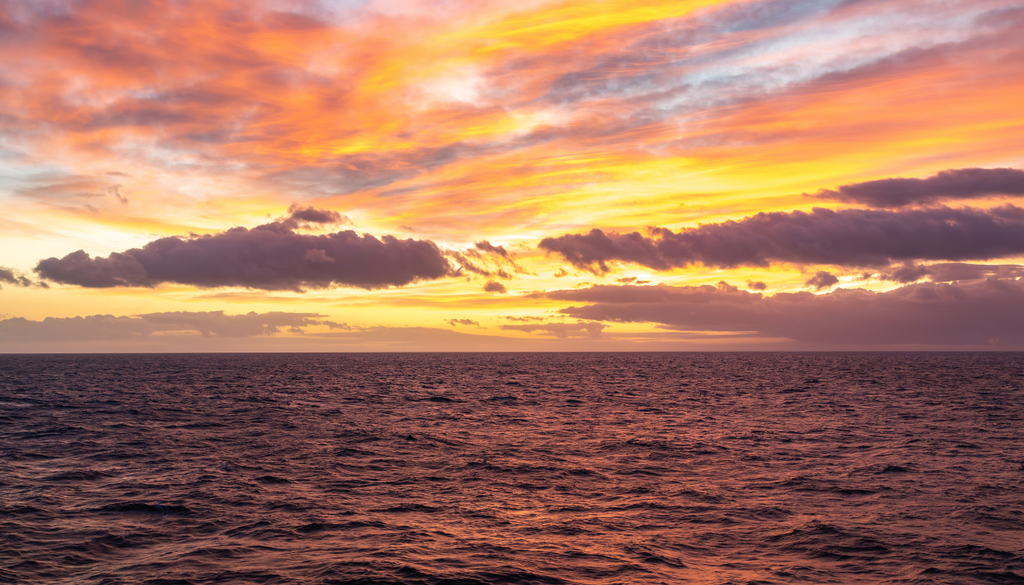 El mar del Paso de Drake, donde soplan los vientos que impulsan la única corriente marina que rodea completamente la Tierra.