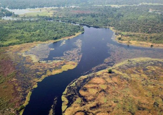 Científicos han descubierto el río más negro del mundo