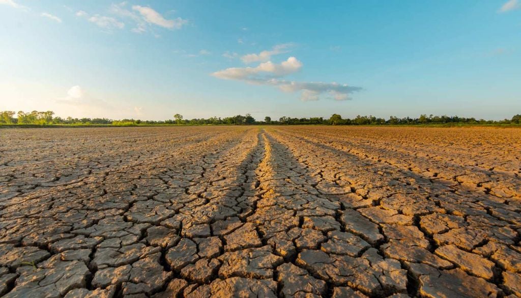 Solo seco O solo pode ser um aliado contra o calor extremo, mas a degradação ameaça essa proteção natural.