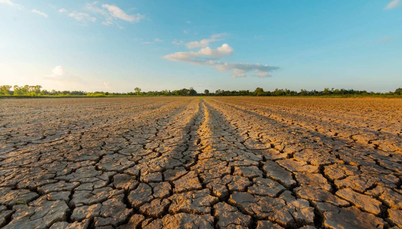 O solo pode ser um aliado contra o calor extremo, mas a degradação ameaça essa proteção natural.