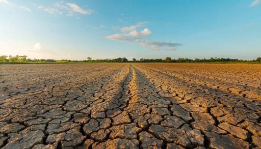 Cientistas alertam que um solo degradado intensifica as ondas de calor