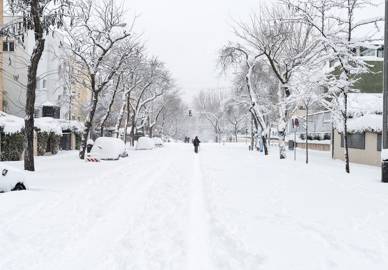 Um novo estudo da Universidade de Utah revela padrão matemático para a aceleração dos cristais de neve durante a deslocação na atmosfera.