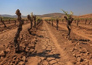 Cientistas descobrem os futuros padrões de seca e o seu impacto nos recursos hídricos mundiais