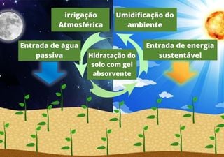 Agro e ciência: cientistas desenvolvem solo com auto irrigação