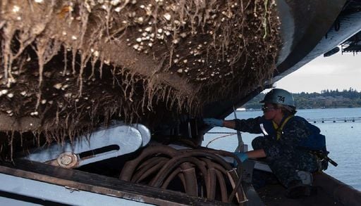 Cientistas do Porto criam tinta ecol&oacute;gica que imita a natureza contra cracas nos cascos dos navios