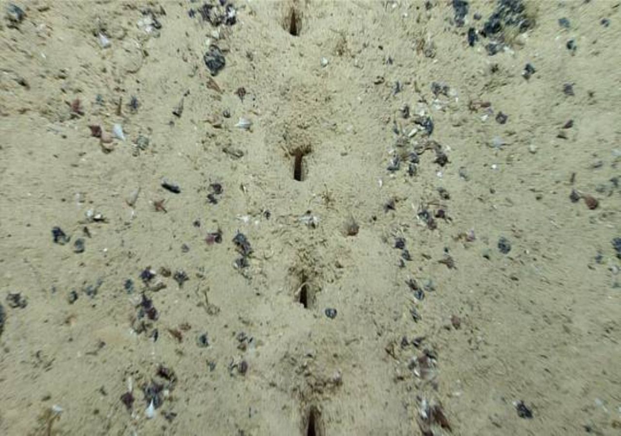Mysteriöse Löcher auf dem Grund des Atlantischen Ozeans gefunden
