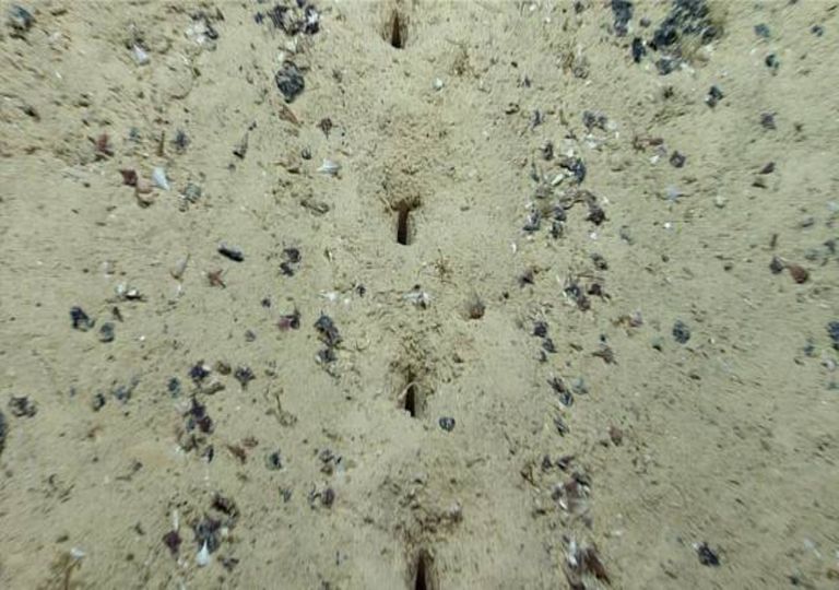 Buracos misteriosos são encontrados no fundo do Oceano Atlântico Buracos misteriosos são encontrados no fundo do Oceano Atlântico