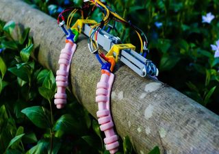 Cientistas portugueses criam músculos artificiais inteligentes que se adaptam ao ambiente (e não só!)