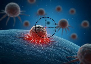 Cientistas portugueses descobriram o responsável pela evolução do cancro