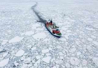 Los científicos se unen para mejorar los modelos que predicen los cambios en el hielo marino del Ártico