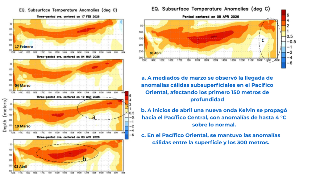 Anomalías de temperatura bajo la superficie del Pacífico ecuatorial entre febrero y abril de 2026 muestran la propagación de ondas Kelvin cálidas y un importante almacenamiento de calor que alcanza hasta 300 metros de profundidad. Crédito: CIIFEN / NOAA CPC.