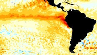 CIIFEN advierte fuerte desarrollo de El Niño: lluvias sobre lo normal podrían alcanzar el centro de Chile