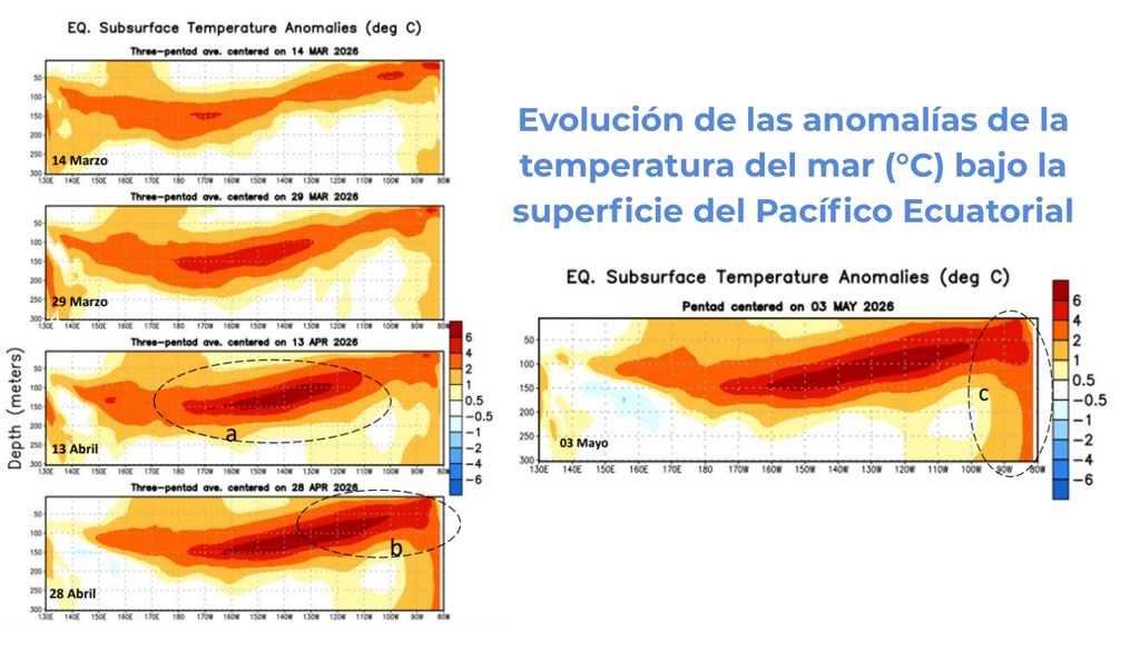 Evolución de las anomalías de la temperatura del mar (°C) bajo la superficie del Pacífico Ecuatorial. (a) A comienzos de abril, anomalías cálidas subsuperficiales avanzaron por el Pacífico Oriental afectando los primeros 200 metros de profundidad; (b) hacia finales de abril, una onda Kelvin cálida alcanzó el borde continental con temperaturas de hasta 6 °C sobre lo normal; y (c) durante mayo persistieron anomalías cálidas en el Pacífico Oriental, reforzando el calentamiento bajo la superficie oceánica. Créditos: CIIFEN / NOAA CPC.