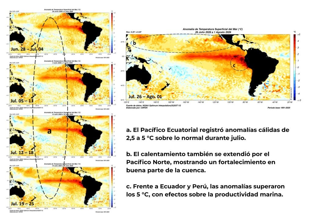 Durante julio de 2026 se intensificó el calentamiento del Pacífico, con anomalías superiores a 5 °C frente a Ecuador y Perú. Fuente: NOAA/OISSTv2 – CIIFEN. Durante julio de 2026 se intensificó el calentamiento del Pacífico, con anomalías superiores a 5 °C frente a Ecuador y Perú. Fuente: NOAA/OISSTv2 – CIIFEN.