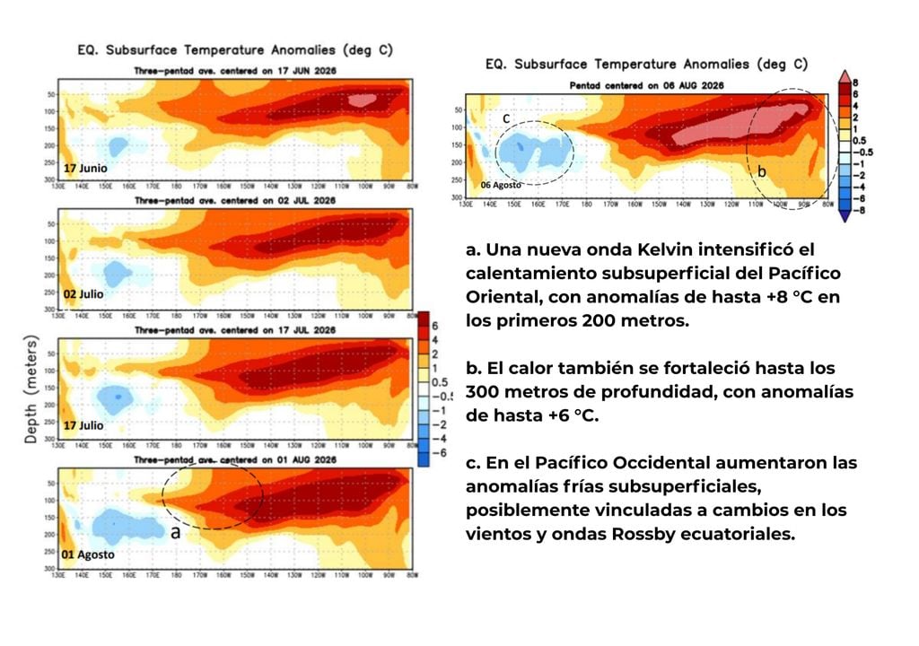 El Pacífico Oriental muestra un fuerte calentamiento bajo la superficie, con anomalías de hasta 8 °C sobre lo normal, mientras el oeste registra señales frías subsuperficiales. El Pacífico Oriental muestra un fuerte calentamiento bajo la superficie, con anomalías de hasta 8 °C sobre lo normal, mientras el oeste registra señales frías subsuperficiales. Fuente: NOAA/CPC – CIIFEN.