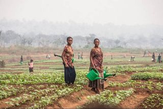 Cinco acciones por el clima para un mundo sin hambre