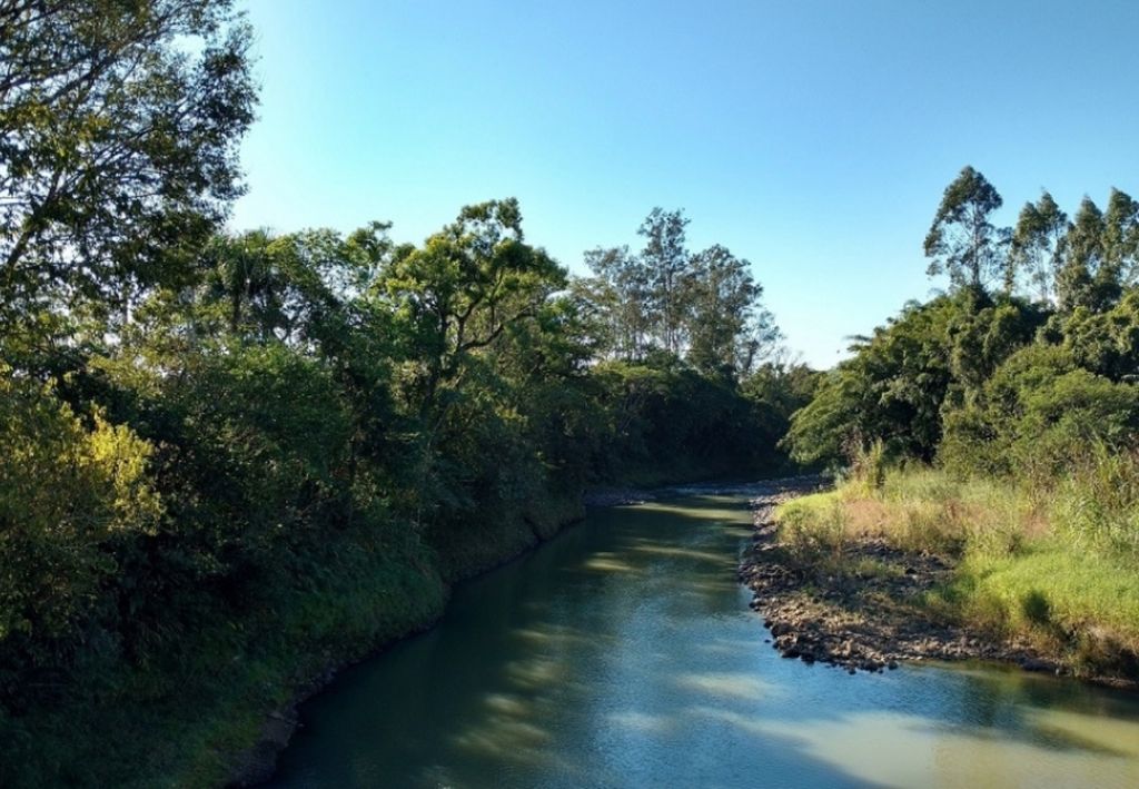 A preservação das matas ciliares - que estão ao redor de rios, córregos, nascentes - é essencial para a prevenção das enchentes súbitas. Créditos: Reprodução/Águas SC.
