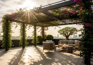 Cinco plantas perfectas para enfriar balcones y crear tu propio microclima en verano