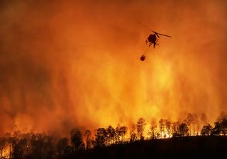 Cinco regiones con más incendios forestales que en período anterior