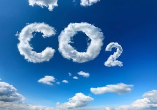 Cinque anni dal lockdown: inquinamento, emissioni di CO₂ e pandemia COVID-19: una lezione ignorata?