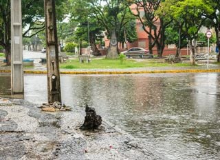 Circulação oceânica vai trazer chuvas de mais de 100 mm no Brasil até o domingo; estas são as regiões em alerta