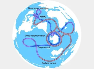 Décadas de datos sobre una circulación atlántica cambiante: la AMOC se desacelera pero con signos de resiliencia 