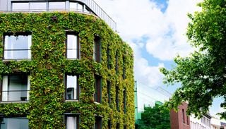 Citt&agrave; sempre pi&ugrave; calde: le 10 infrastrutture verdi indispensabili per mitigare l&rsquo;isola di calore urbana