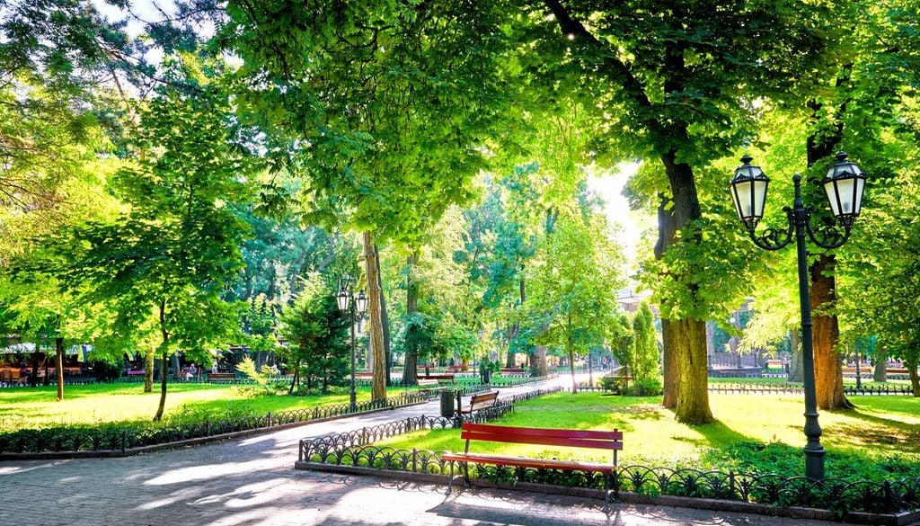 Parchi urbani, boschetti e foreste urbane