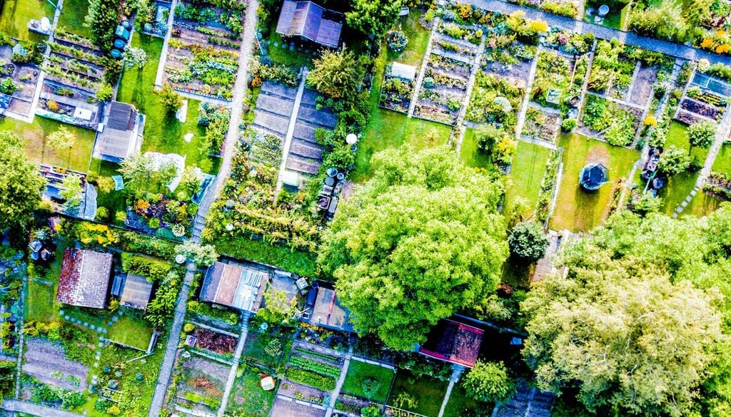 Orti urbani e verde collettivo