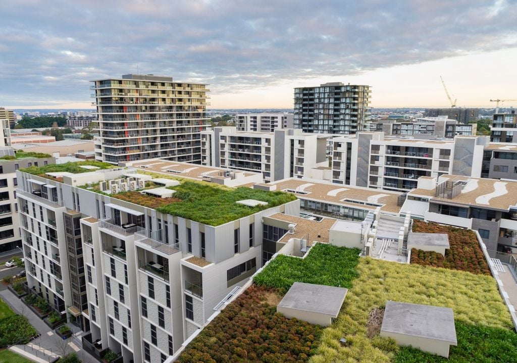 Techos verdes en edificios en Sydney, Australia. Techos verdes en edificios en Sydney, Australia.