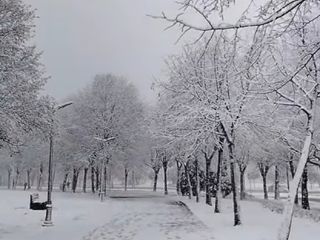 Severa nevada cubrió la ciudad de Estambul, en Turquía