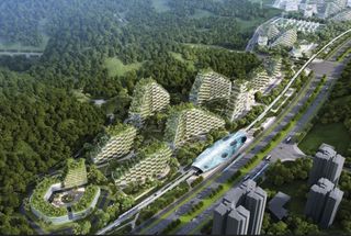 Ciudades como laboratorios contra el cambio climático