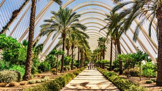 Ciudades españolas: hacia la neutralidad climática