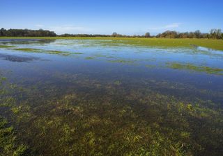 Civil War earthworks enhanced by storm's floods