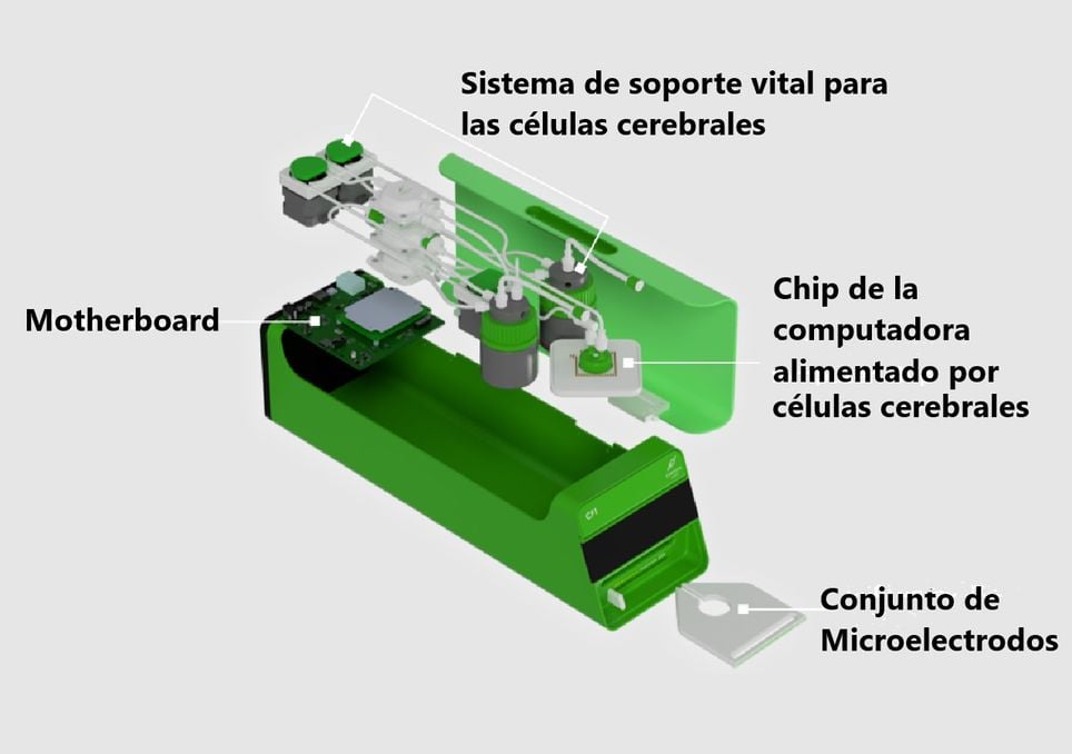CL1 Cortical Labs biocomputacion