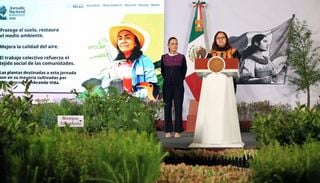 Claudia Sheinbaum arranca la mayor jornada de reforestaci&oacute;n de M&eacute;xico: 6.6 millones de &aacute;rboles este 9 de agosto