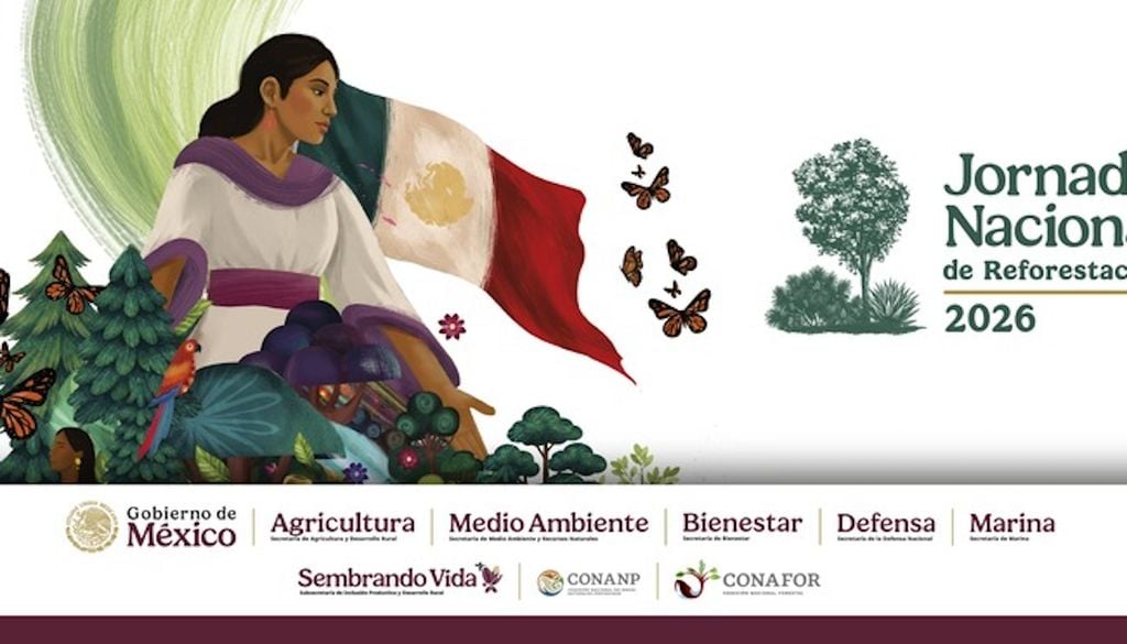 Uno de los objetivos principales es la mitigación y adaptación al cambio climático Uno de los objetivos principales es la mitigación y adaptación al cambio climático. Gobierno de México. Imagen: Gobierno de México,